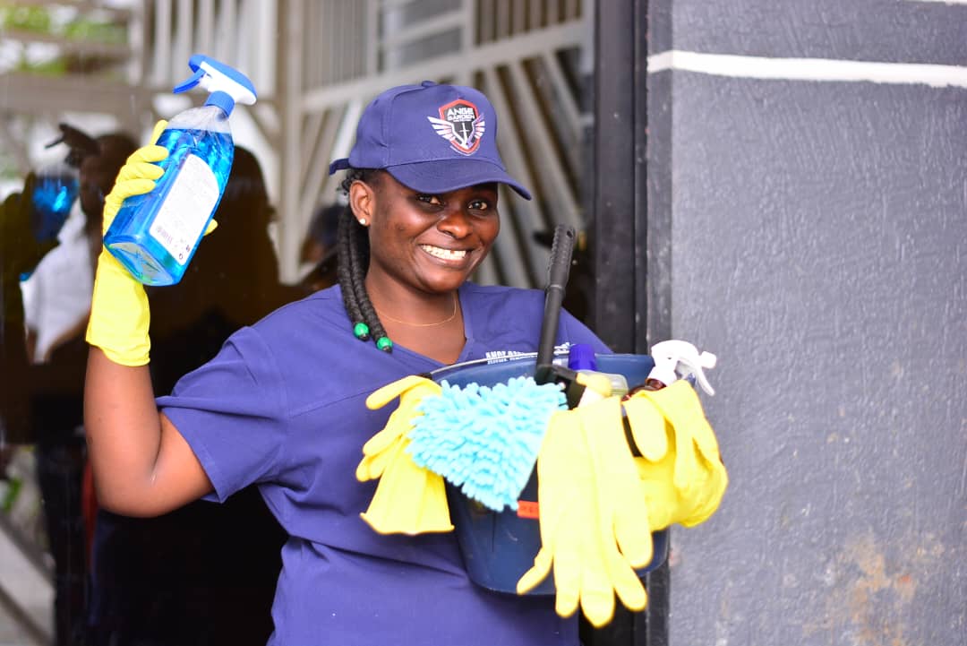 Nettoyage Professionnel AGP SARL